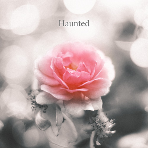 Haunted cover